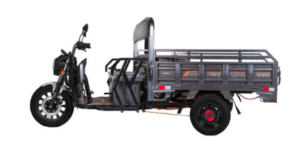 E BİKE ÜÇ TEKERLEKLİ KASALI MODEL